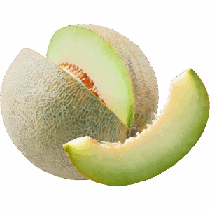 Melón