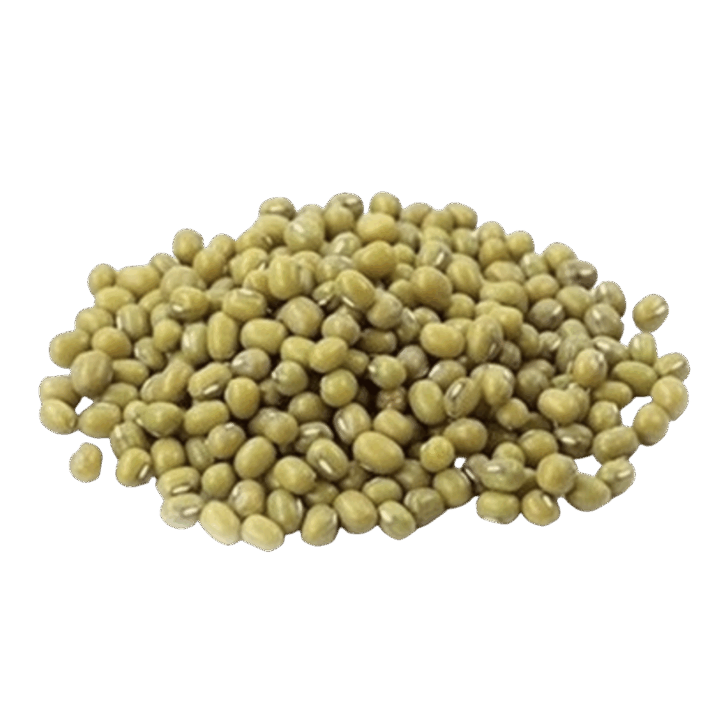 Porotos Mung (100g)