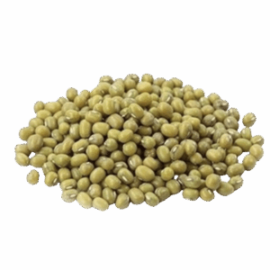 Porotos Mung (100g)