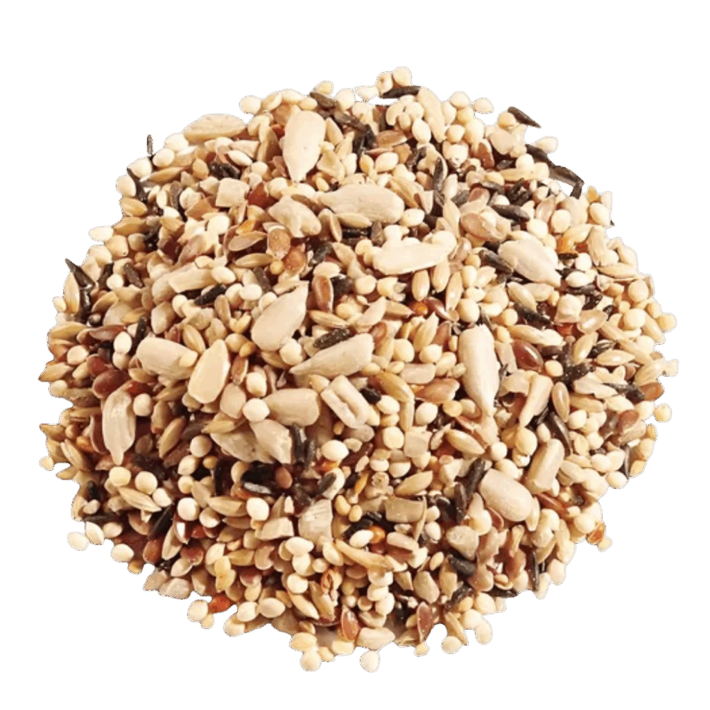Mix semillas chia, lino, girasol y sesamo (100g)