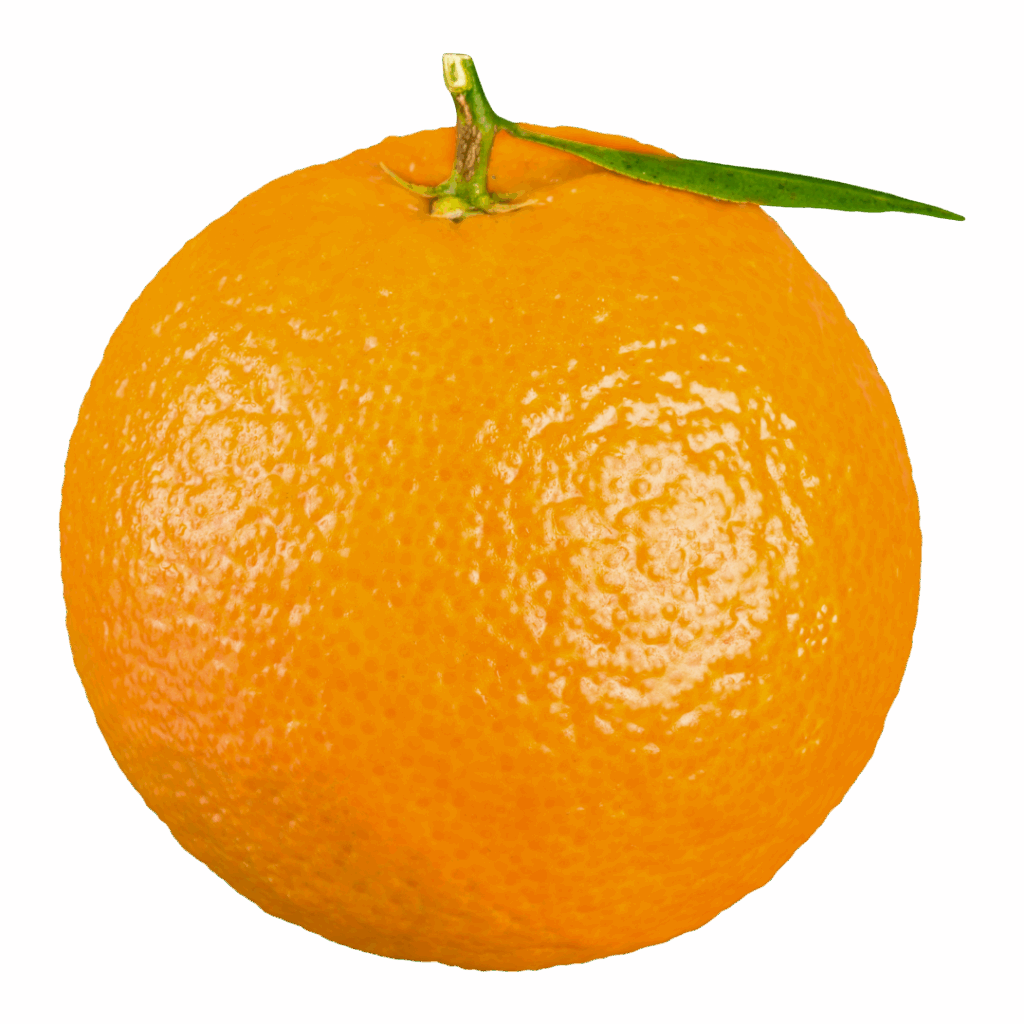 Naranja Premium (500g)