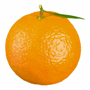 Naranja Premium (500g)