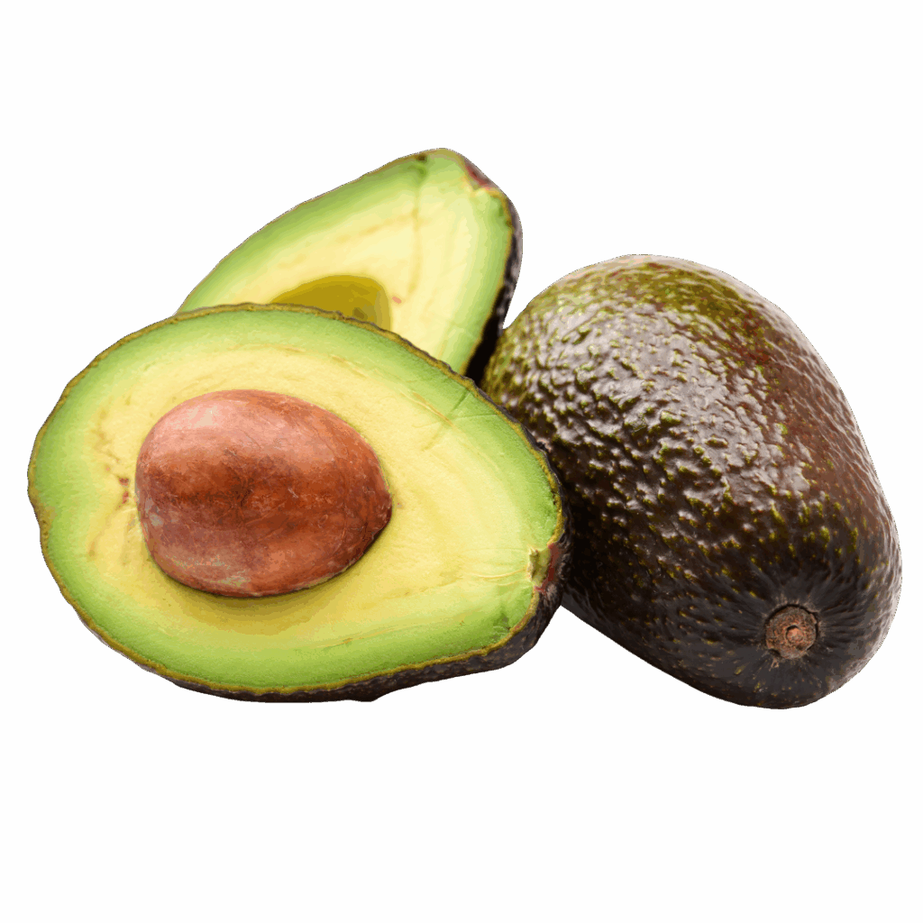Palta
