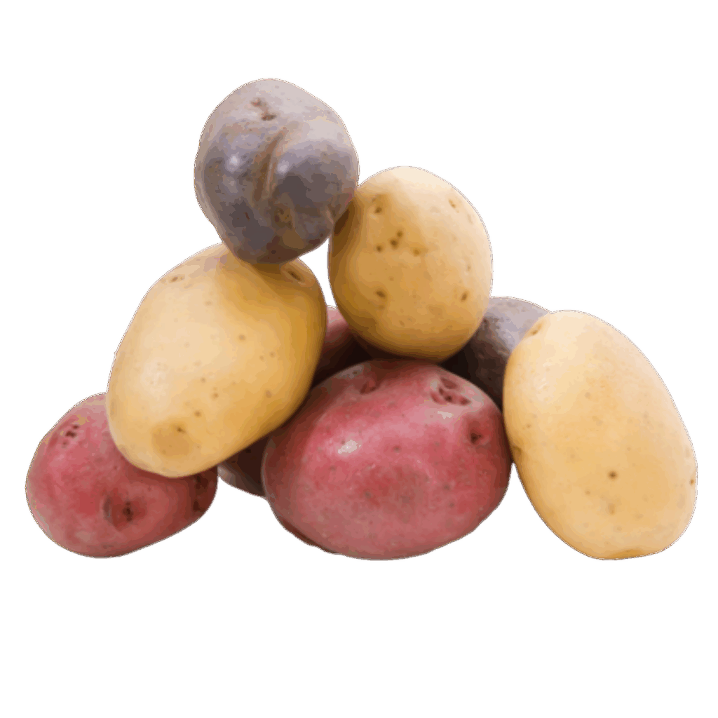 Papines color (Bolsa)