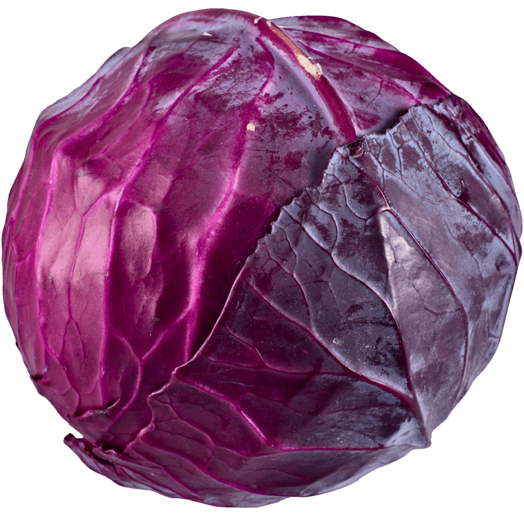Repollo de Color (medio)