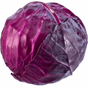 Repollo de Color (medio)