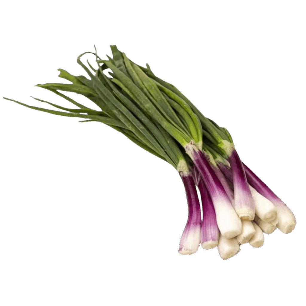 Cebolla de Verdeo (100g)