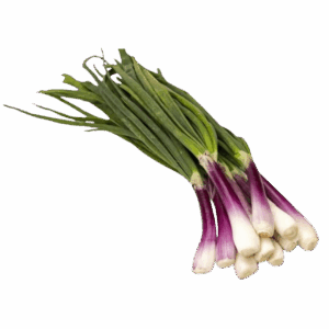 Cebolla de Verdeo (100g)
